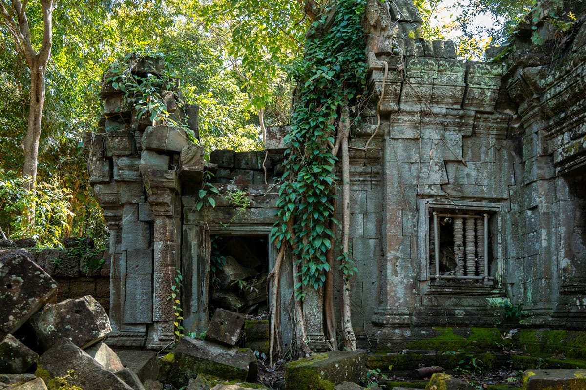 Ruines du temple de Banteay Ampil envahies par la fégétation au coeur de la forêt cambodgienne.
