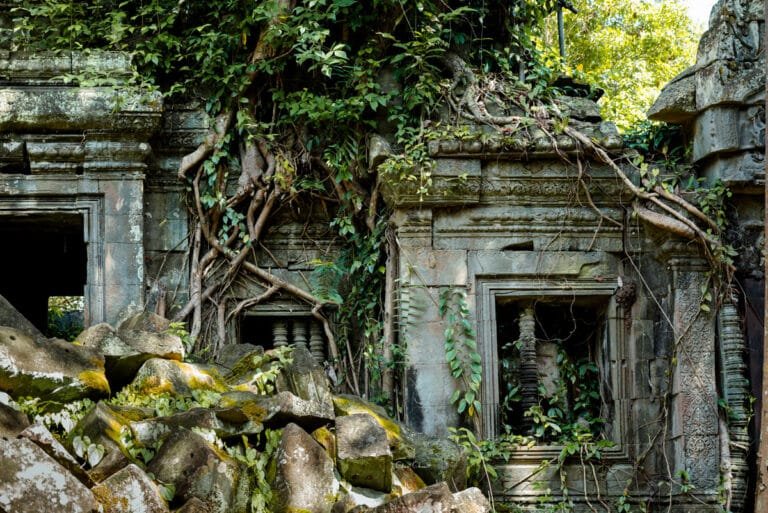 Ruines du temple oublié de Banteay Ampil envahies par les racines des arbres et la nature.