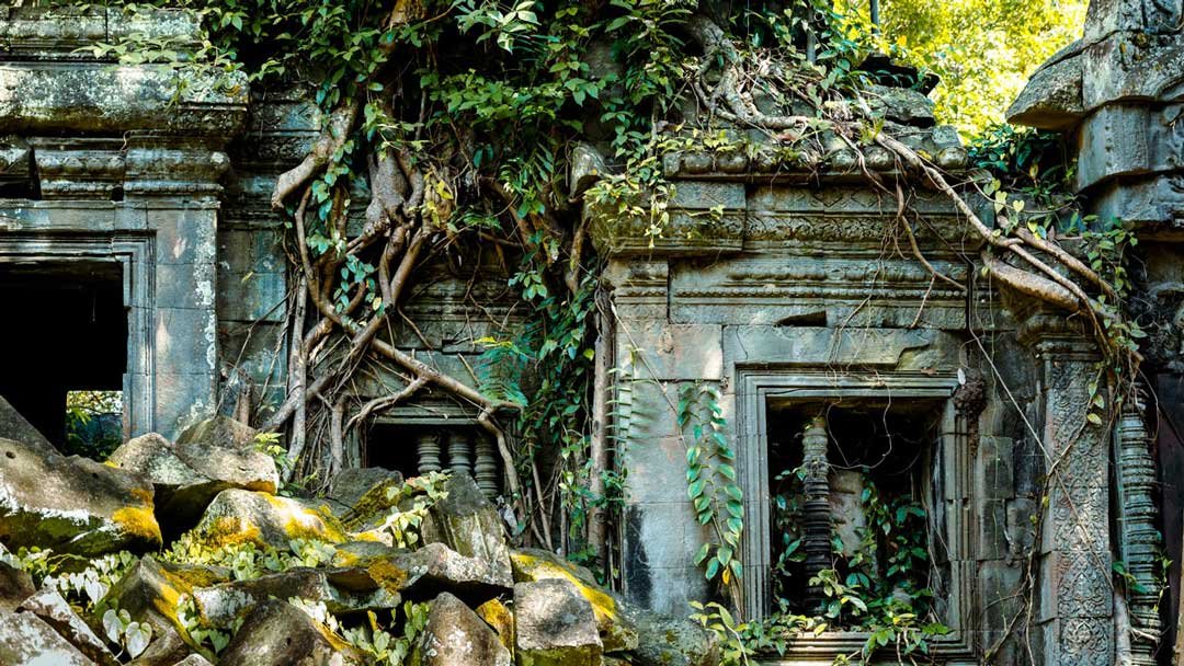 Ruines du temple oublié de Banteay Ampil envahies par les racines des arbres et la nature.